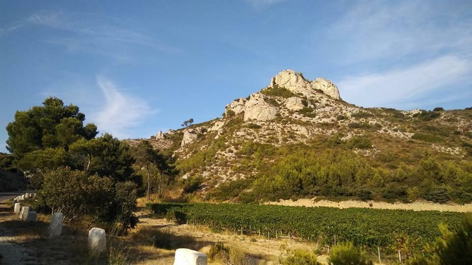 Апартаменти Le Lapin Blanc Сен-Ремі-де-Прованс Екстер'єр фото